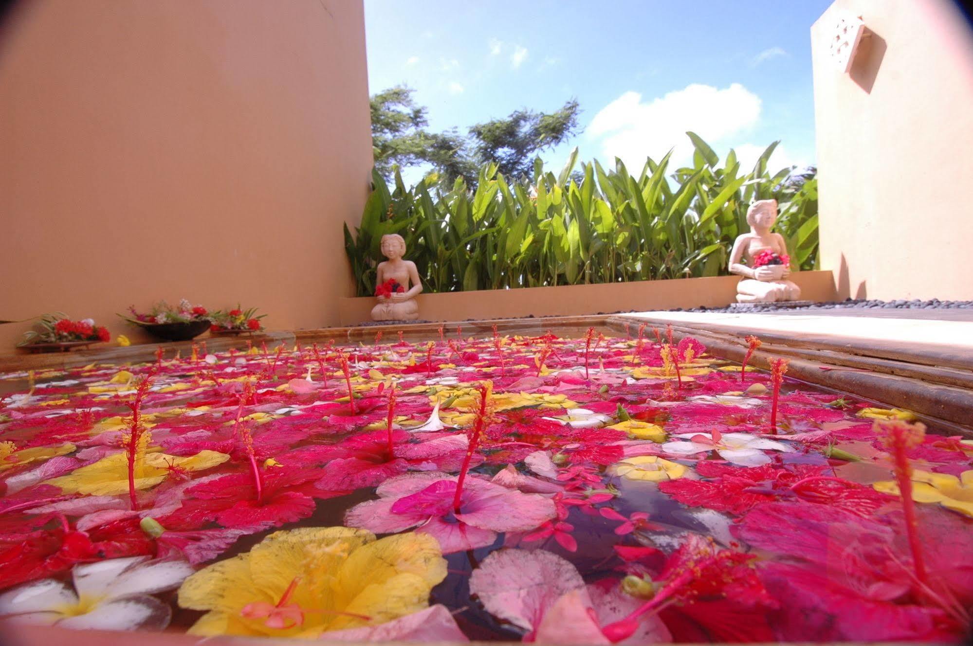 Mariana Resort & Spa San Roque Extérieur photo